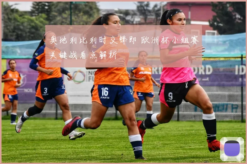 奥地利比利时交锋即 欧洲杯小组赛关键战看点解析